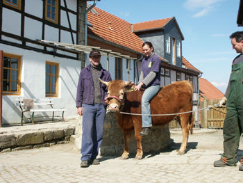 Jana auf dem Ochsen